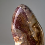 Genuine Polished Petrified Wood Freeform v.2