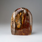 Genuine Polished Petrified Wood Freeform v.1