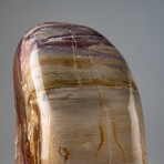 Genuine Polished Petrified Wood Freeform v.2