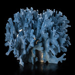 Natural Blue Ridge Coral