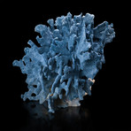 Natural Blue Ridge Coral