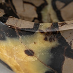 Genuine Polished Septarian Dish