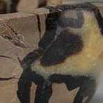 Genuine Polished Septarian Dish