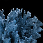 Natural Blue Ridge Coral