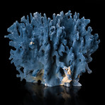 Natural Blue Ridge Coral