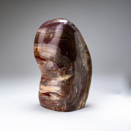 Genuine Polished Petrified Wood Freeform v.2