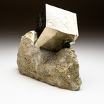 Natural Pyrite on Basalt Matrix