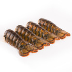 Lobster Tails // 4 oz Tails // 10 lb