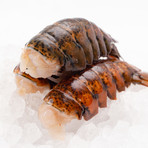Lobster Tails // 4 oz Tails // 10 lb