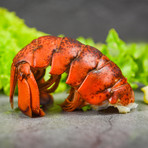 Lobster Tails // 4 oz Tails // 10 lb