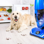 Quantum X Upright Water Filtration Vacuum // Cobalt Blue