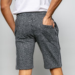 Latham Jogger Knit Shorts // Gray (L)