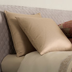 Lux Jackson Decorative Cushion (Beige + Caramel)