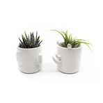Wander Pots // Trio Collection // Set of 6