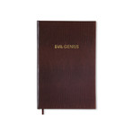Evil Genius (Small Book)