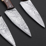 TK Siri Steak Knives // Set Of 4