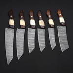 Chef Knives // Set Of 6 Pieces // Bone + Brass + Red Fiber
