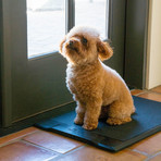 Barking Mat // Wifi Mat