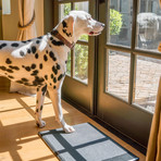 Barking Mat // Wifi Mat
