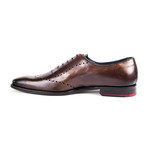 Croger Cognac Oxford // Cognac (Euro: 43)