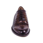 Carek Cuero Oxford // Cognac (Euro: 45)