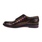 Carek Cuero Oxford // Cognac (Euro: 40)