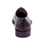 Carek Cuero Oxford // Cognac (Euro: 40)