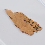 Ancient papyrus scroll fragment from the Holy Land