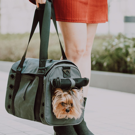 Koala Pet Carrier // Dark Steel Gray // Classic Canvas (Petite)