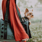 Koala Pet Carrier // Dark Steel Gray // Classic Canvas (Petite)