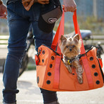 Koala Pet Carrier // Neon Orange // Sport Nylon (Petite)