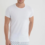 Mauna Loa T-Shirt // White (L)