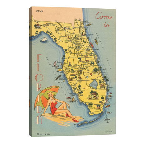 Florida Postcard VI // Wild Apple Portfolio (26"W x 40"H x 1.5"D)