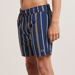 Preto Striped Swim Shorts // Navy (L)