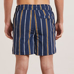 Preto Striped Swim Shorts // Navy (L)