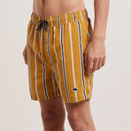 Preto Striped Swim Shorts // Tobacco (L)