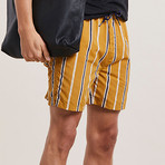 Preto Striped Swim Shorts // Tobacco (L)