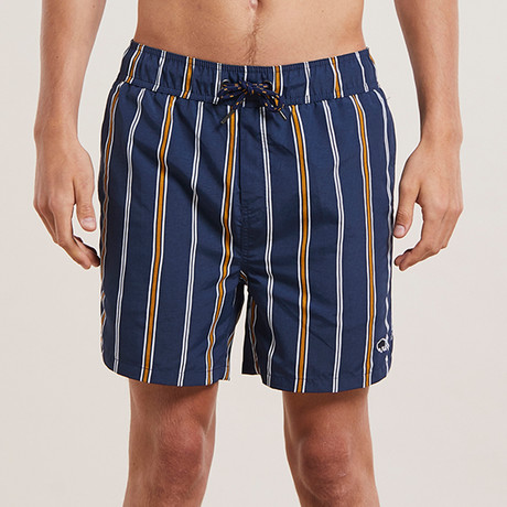 Preto Striped Swim Shorts // Navy (L)