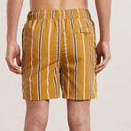 Preto Striped Swim Shorts // Tobacco (L)