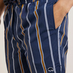 Preto Striped Swim Shorts // Navy (L)