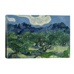 Olive Trees with the Alpilles in the Background by Vincent van Gogh (12"H x 18"W x 1.5"D)