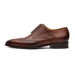 Felix Leather Wingtip Brogue Shoes // Medium Brown (US: 8)
