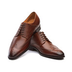 Felix Leather Wingtip Brogue Shoes // Medium Brown (US: 12)