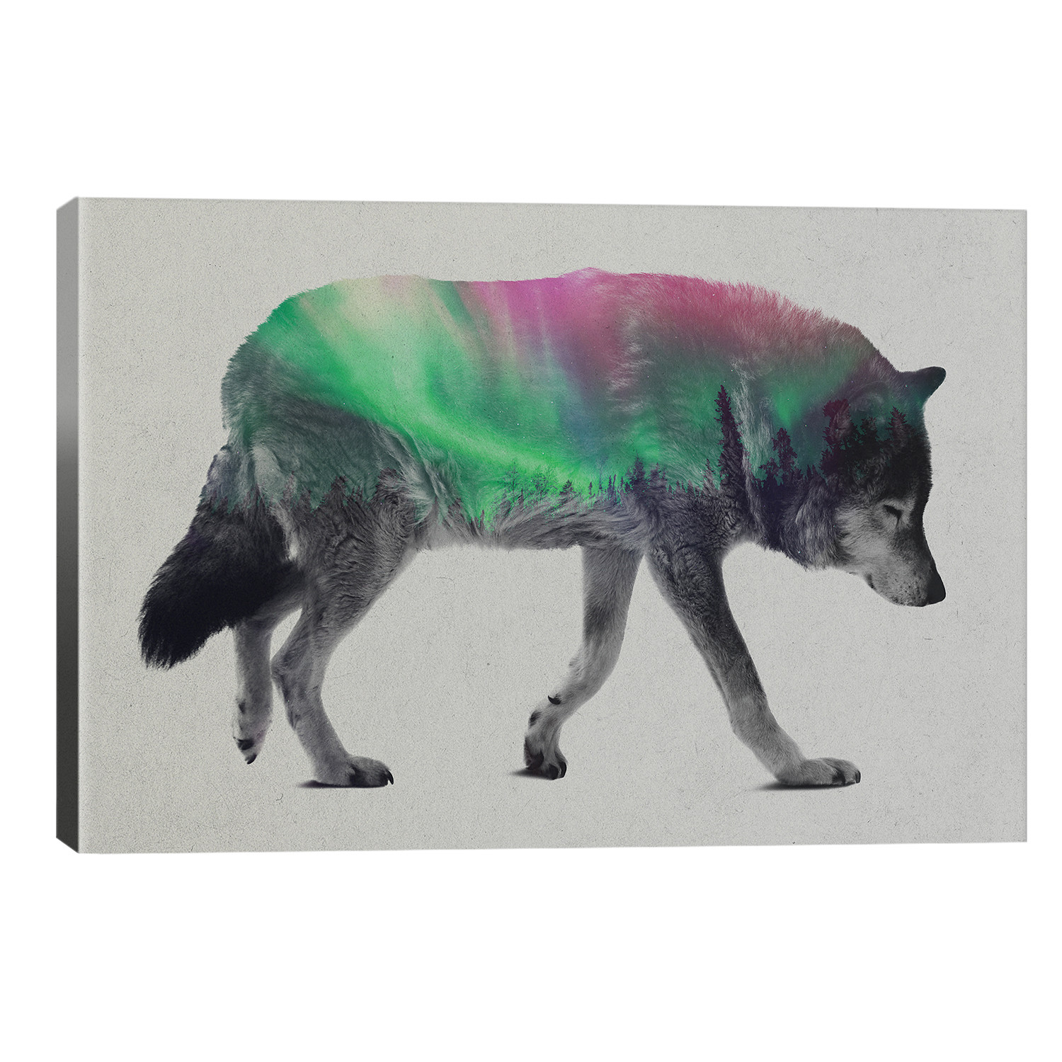 Wolf // Andreas Lie - Iconoclastic Canvas Prints - Touch of Modern