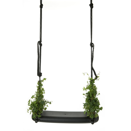 Swing with the Plants