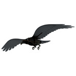 Ravens Adam // Decorative Item  // Brushed Black