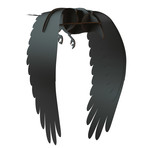 Ravens Karl // Decorative Item // Brushed Black