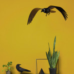 Ravens Adam // Decorative Item  // Brushed Black
