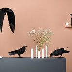 Ravens Jack // Mini Shelf Unit // Brushed Black