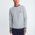 Auden Cavill // Sweatshirt // Gray (3XL)